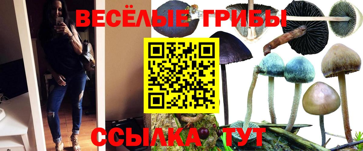 Кохма  Псилоцибиновые грибы прущие грибы  Галлюциногенные грибы мицелий  Вход с VPN 